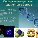Иллюстрация №4: Молекулярный уровень жизни. (Презентации - Биология).